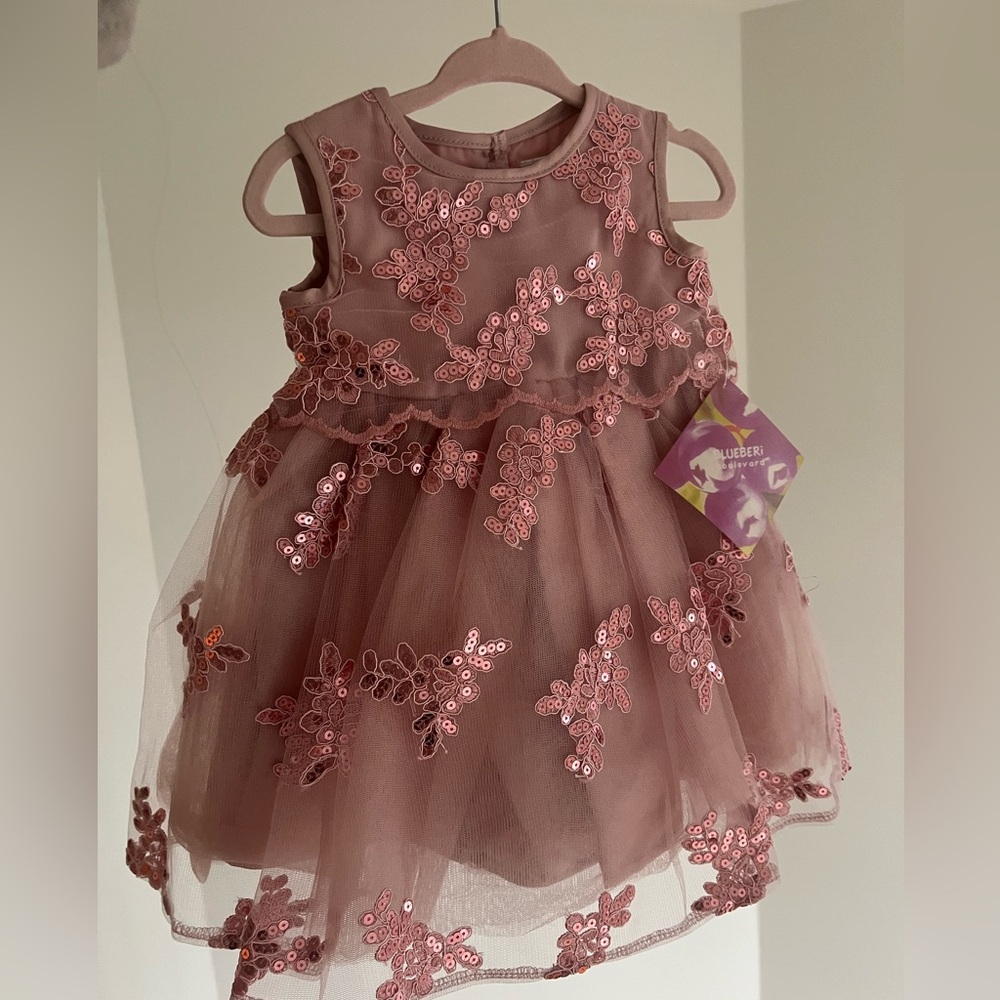 Baby Girls Sparkling Embroidered Sleeveless Dress (12M)